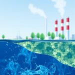 Берег под контролем: что теперь изменилось для заводов и фабрик